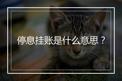 停息挂账是什么意思？