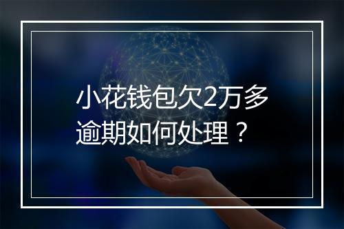 小花钱包欠2万多逾期如何处理？