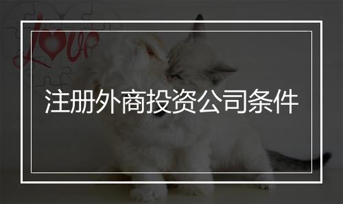 注册外商投资公司条件