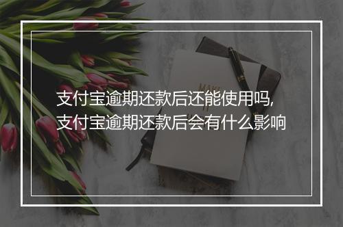 支付宝逾期还款后还能使用吗,支付宝逾期还款后会有什么影响