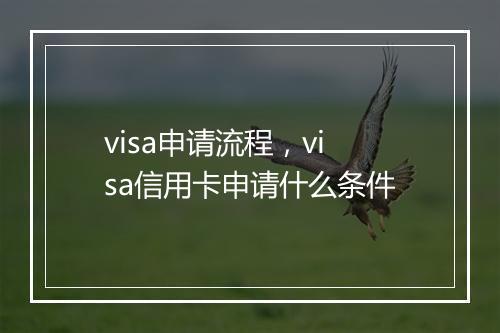 visa申请流程，visa信用卡申请什么条件