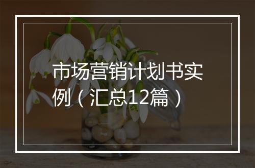 市场营销计划书实例（汇总12篇）