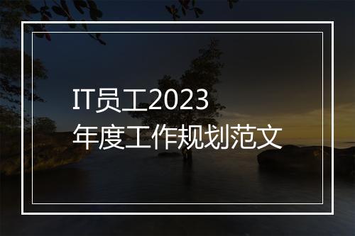IT员工2023年度工作规划范文