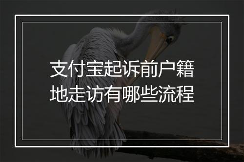 支付宝起诉前户籍地走访有哪些流程