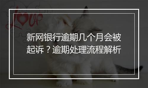 新网银行逾期几个月会被起诉？逾期处理流程解析