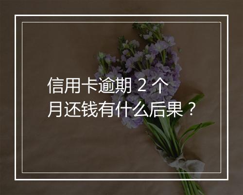 信用卡逾期 2 个月还钱有什么后果？
