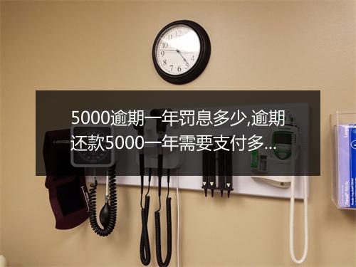 5000逾期一年罚息多少,逾期还款5000一年需要支付多少罚息