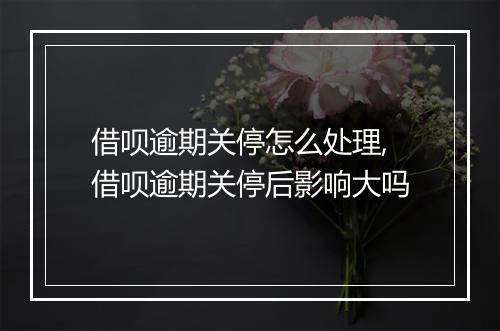借呗逾期关停怎么处理,借呗逾期关停后影响大吗