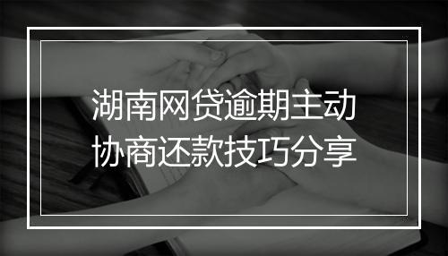 湖南网贷逾期主动协商还款技巧分享