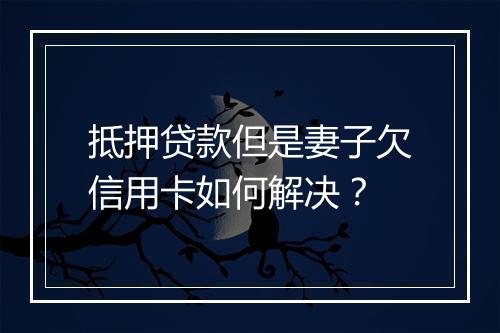 抵押贷款但是妻子欠信用卡如何解决？