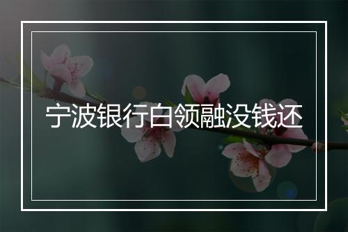 宁波银行白领融没钱还