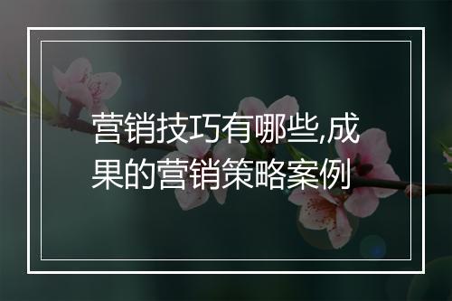 营销技巧有哪些,成果的营销策略案例