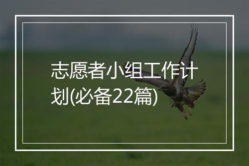 志愿者小组工作计划(必备22篇)