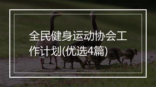 全民健身运动协会工作计划(优选4篇)