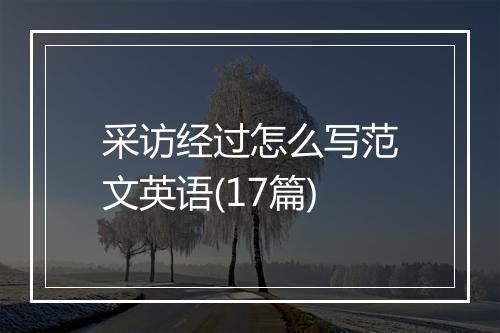 采访经过怎么写范文英语(17篇)