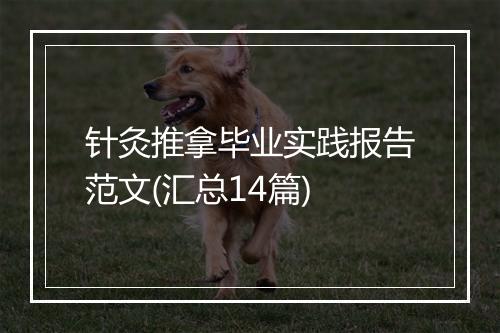 针灸推拿毕业实践报告范文(汇总14篇)