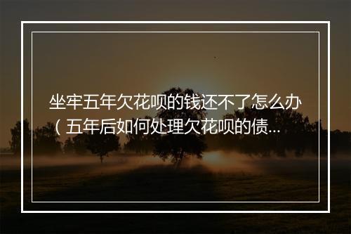 坐牢五年欠花呗的钱还不了怎么办（五年后如何处理欠花呗的债务）