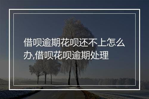 借呗逾期花呗还不上怎么办,借呗花呗逾期处理