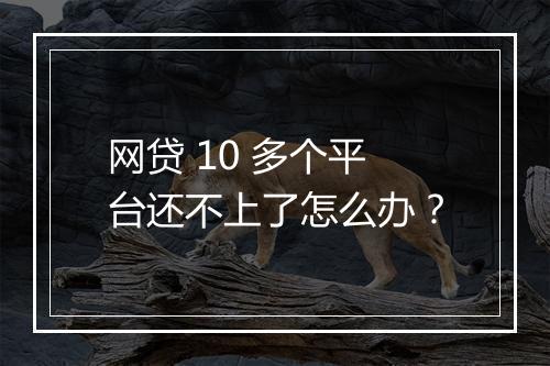 网贷 10 多个平台还不上了怎么办？