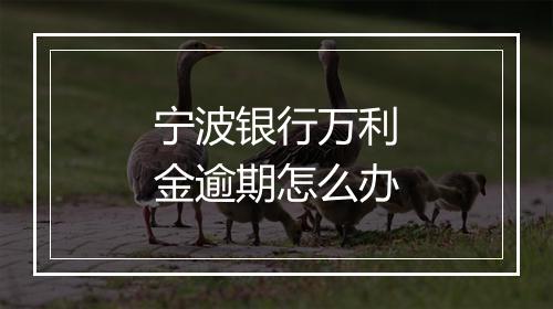 宁波银行万利金逾期怎么办