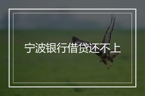 宁波银行借贷还不上