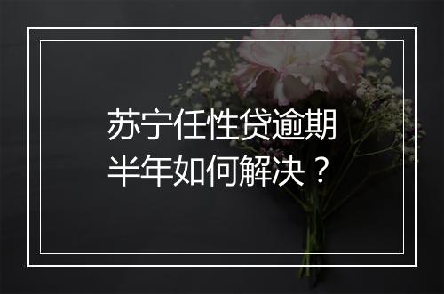 苏宁任性贷逾期半年如何解决？