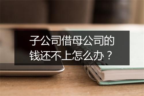 子公司借母公司的钱还不上怎么办？