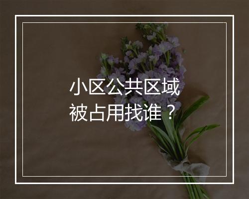 小区公共区域被占用找谁？