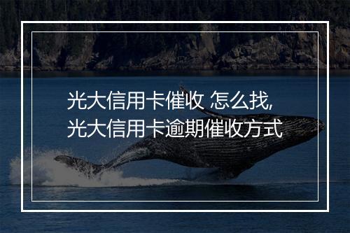 光大信用卡催收 怎么找,光大信用卡逾期催收方式