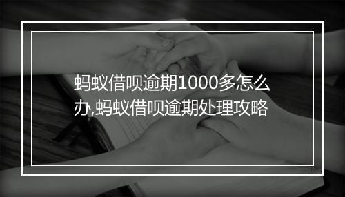 蚂蚁借呗逾期1000多怎么办,蚂蚁借呗逾期处理攻略