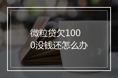 微粒贷欠1000没钱还怎么办
