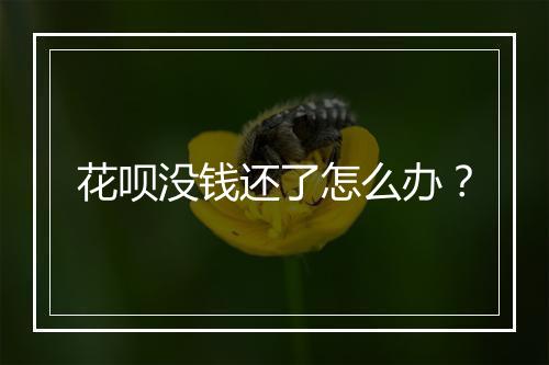 花呗没钱还了怎么办？