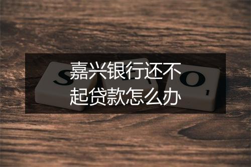 嘉兴银行还不起贷款怎么办