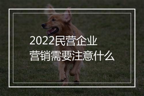 2022民营企业营销需要注意什么