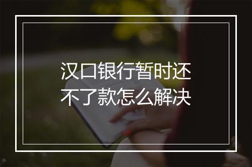 汉口银行暂时还不了款怎么解决