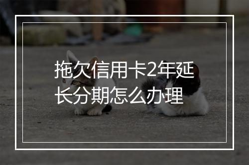 拖欠信用卡2年延长分期怎么办理
