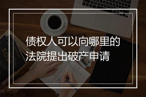 债权人可以向哪里的法院提出破产申请