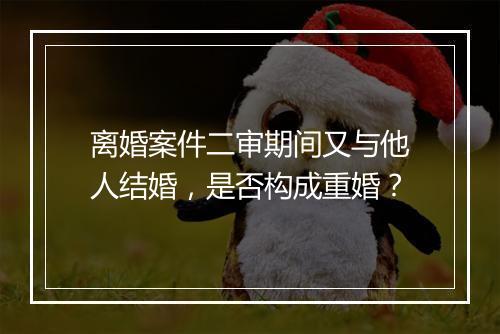 离婚案件二审期间又与他人结婚，是否构成重婚？