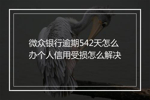微众银行逾期542天怎么办个人信用受损怎么解决
