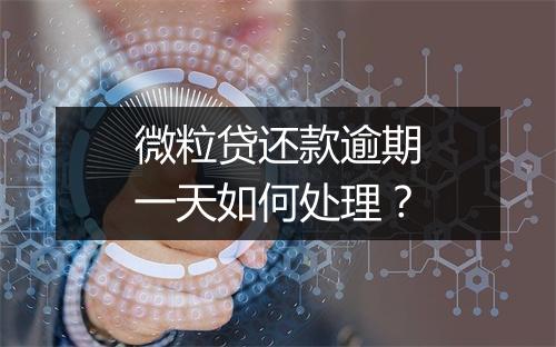 微粒贷还款逾期一天如何处理？