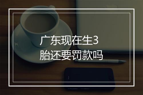 广东现在生3胎还要罚款吗