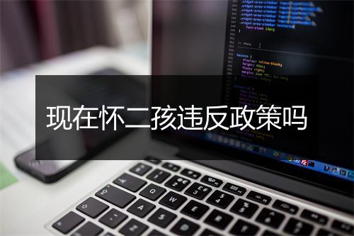 现在怀二孩违反政策吗