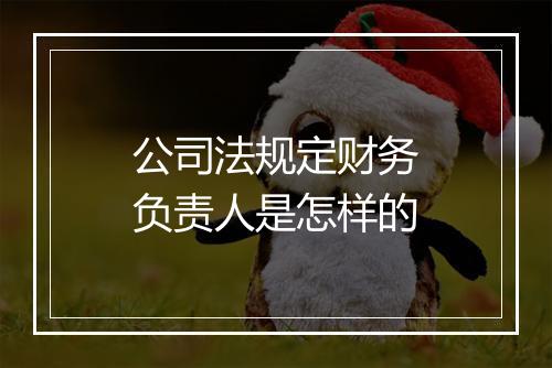 公司法规定财务负责人是怎样的