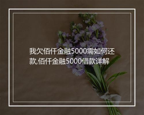 我欠佰仟金融5000需如何还款,佰仟金融5000借款详解