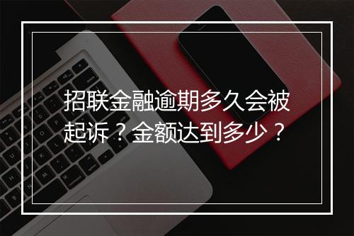 招联金融逾期多久会被起诉？金额达到多少？