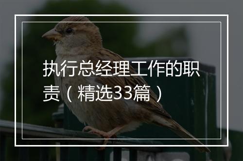 执行总经理工作的职责（精选33篇）