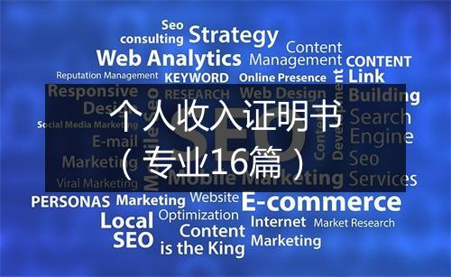 个人收入证明书（专业16篇）