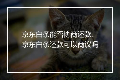 京东白条能否协商还款,京东白条还款可以商议吗