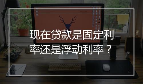 现在贷款是固定利率还是浮动利率？