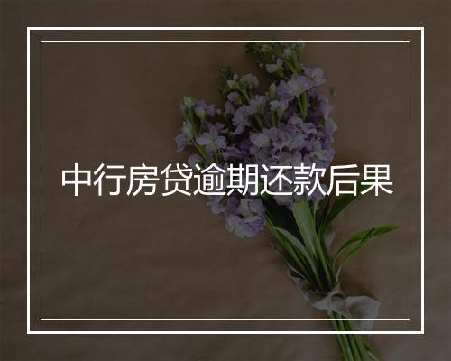 中行房贷逾期还款后果